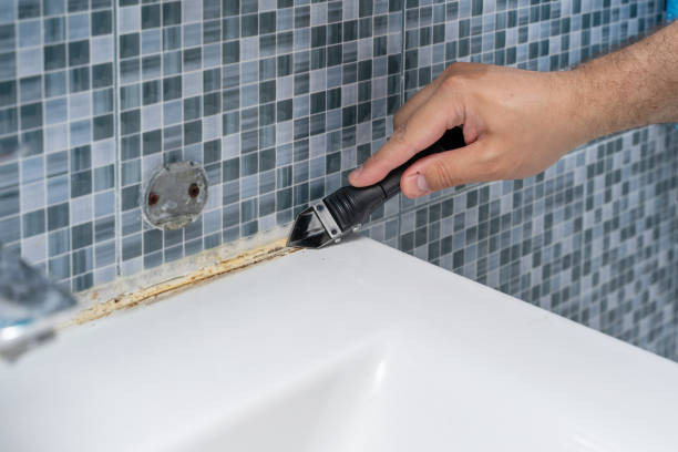 Best Professional Mold Removal  in South Farmingdale, NY