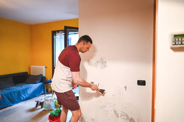 Best Water Damage Restoration  in South Farmingdale, NY